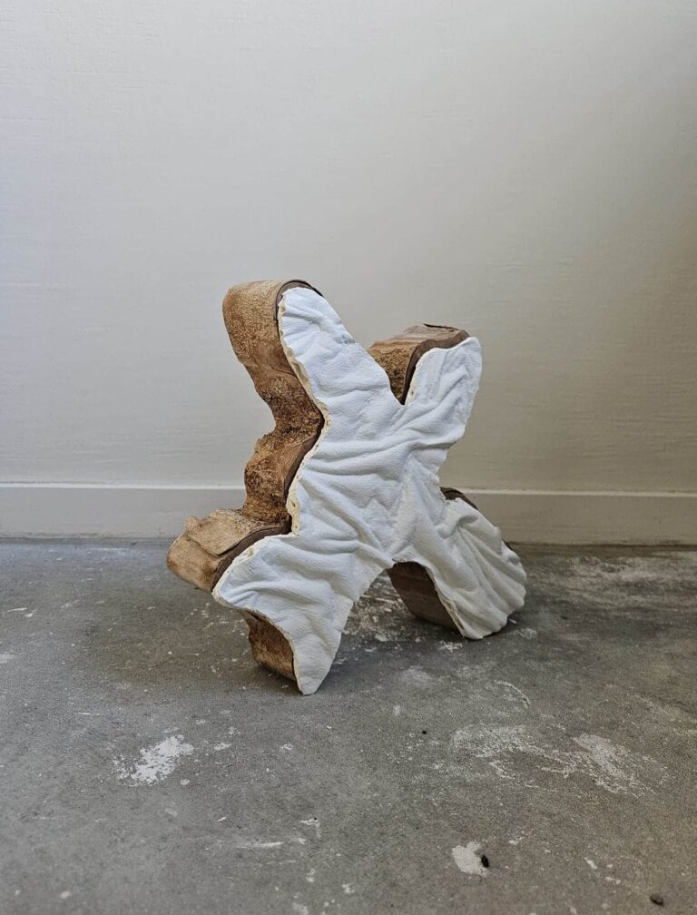 Afbeelding van WhatsApp op 2025-09-18 om 12.27.26_2b29c607